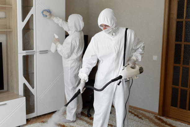 24/7 Emergency Odor Removal experts in Scranton, PA